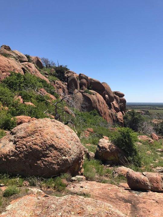 Blue Eyed Coyote BnB - thumb 15