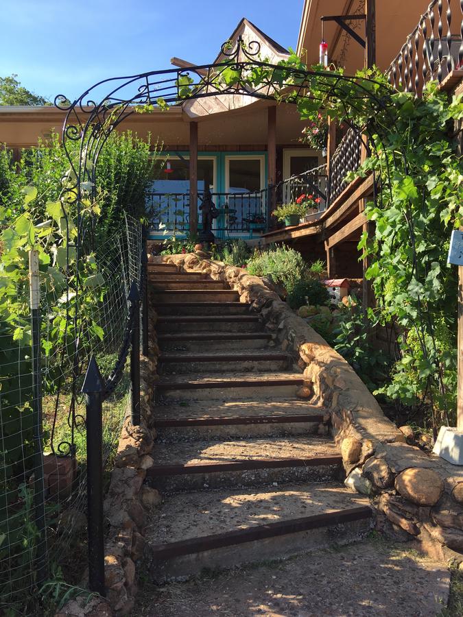 Blue Eyed Coyote BnB - thumb 7