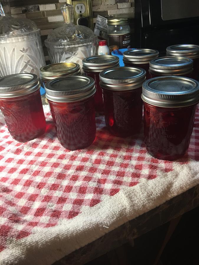 Blue Eyed Coyote BnB - thumb 8