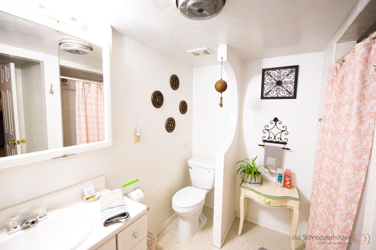 Blue Eyed Coyote BnB - thumb 5