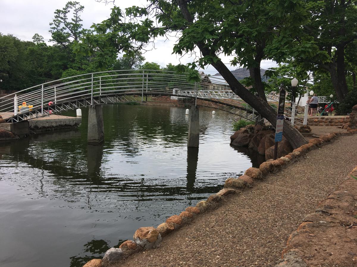 Blue Eyed Coyote BnB - thumb 19