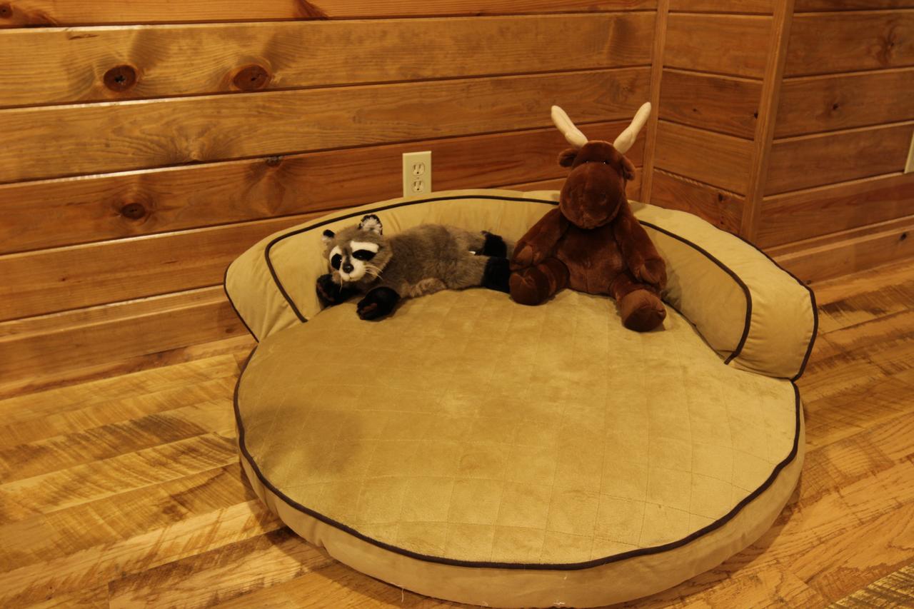 The Haven Cabin Broken Bow Cabin - thumb 7