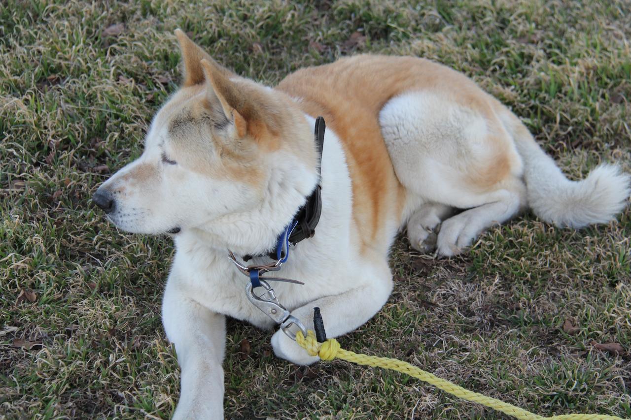 Lodge USA Motel - thumb 18