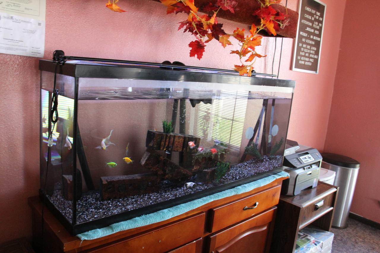 Lodge USA Motel - thumb 19