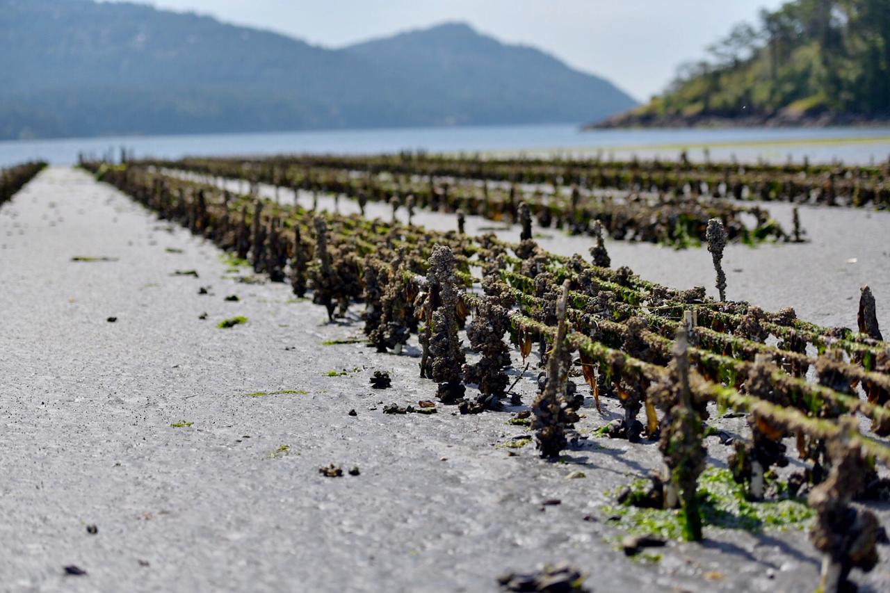 Otter's Pond Bed And Breakfast - thumb 30