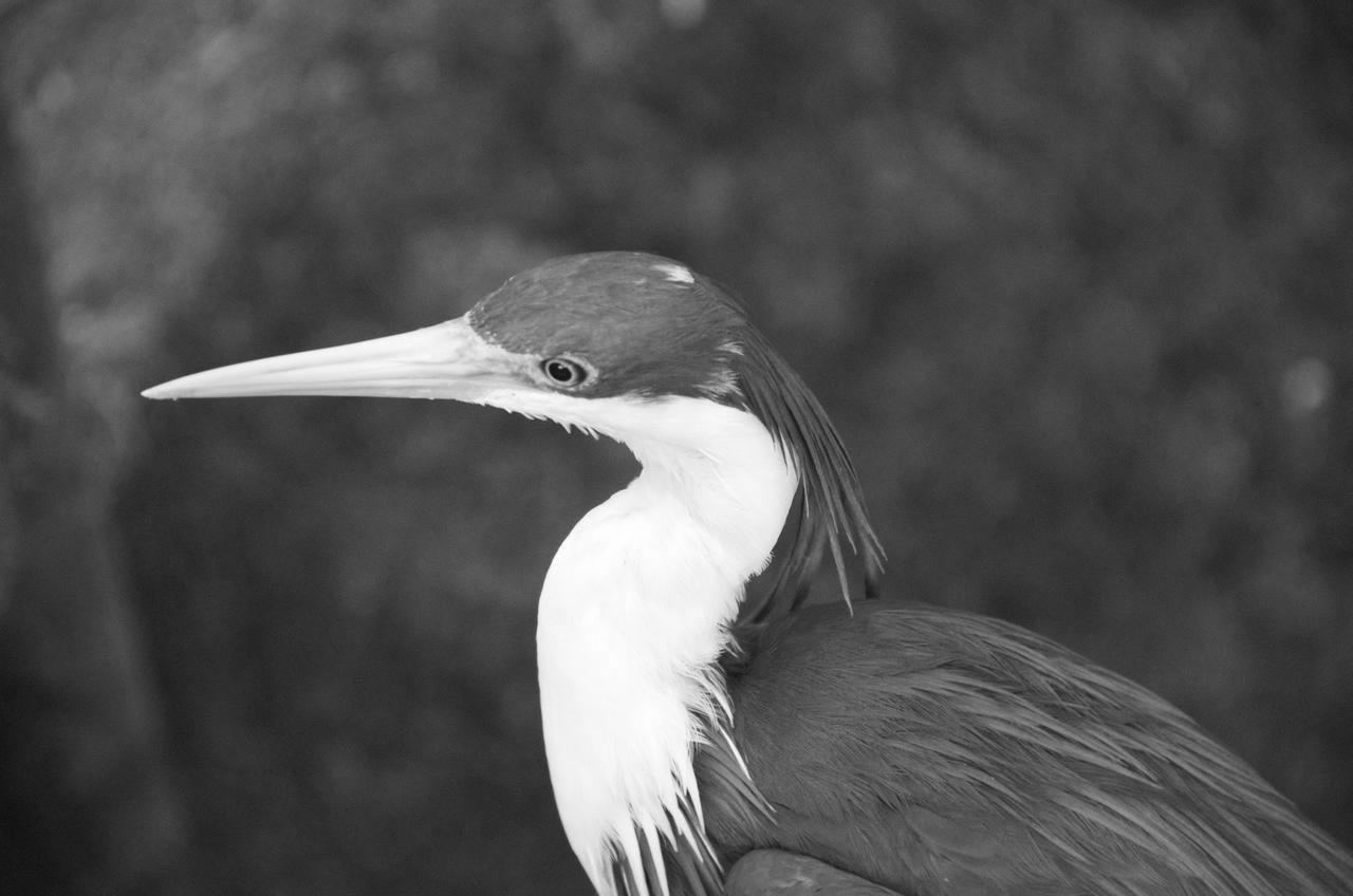 Otter's Pond Bed And Breakfast - thumb 7