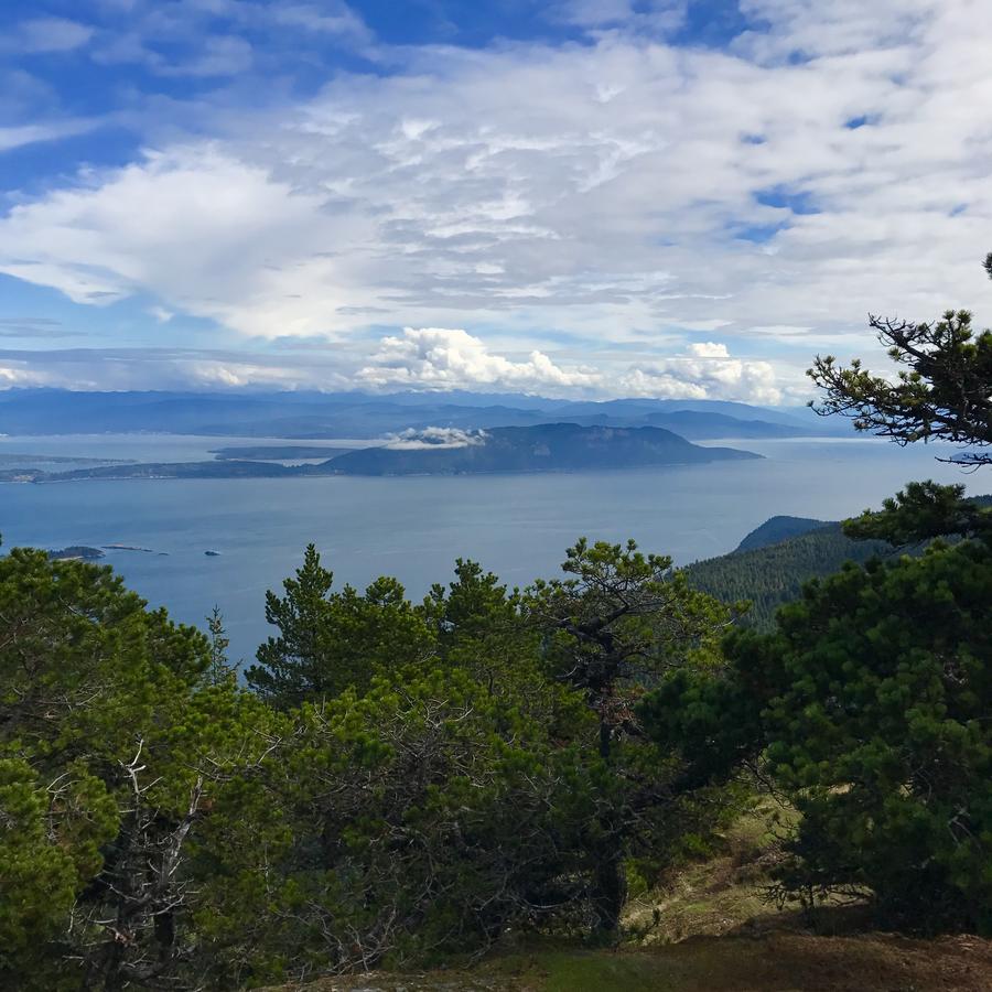 Otter's Pond Bed And Breakfast - thumb 32