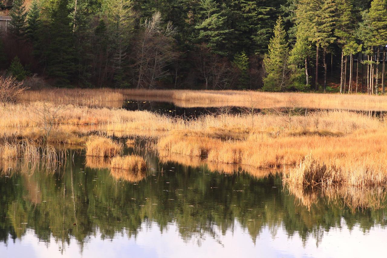 Otter's Pond Bed And Breakfast - thumb 41