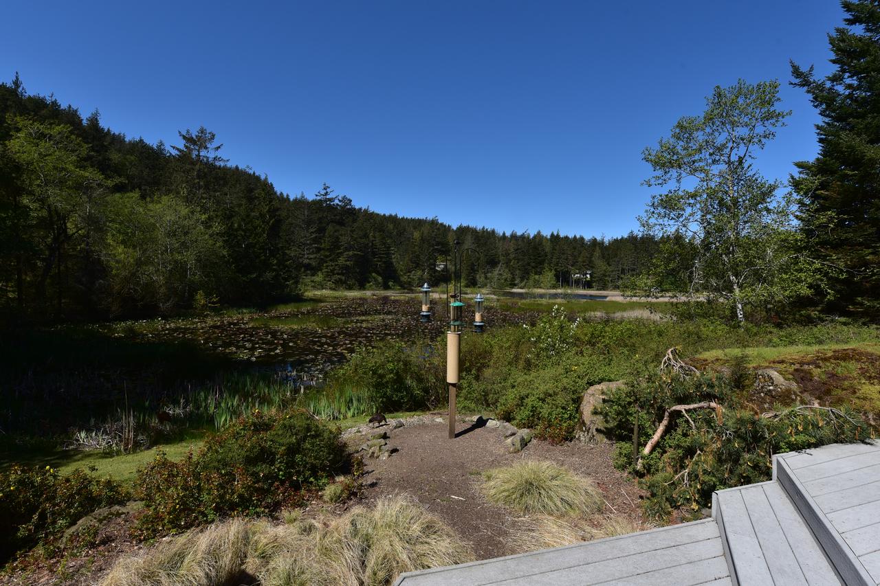 Otter's Pond Bed And Breakfast - thumb 12