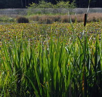 Otter's Pond Bed and Breakfast - Tourism Bookings