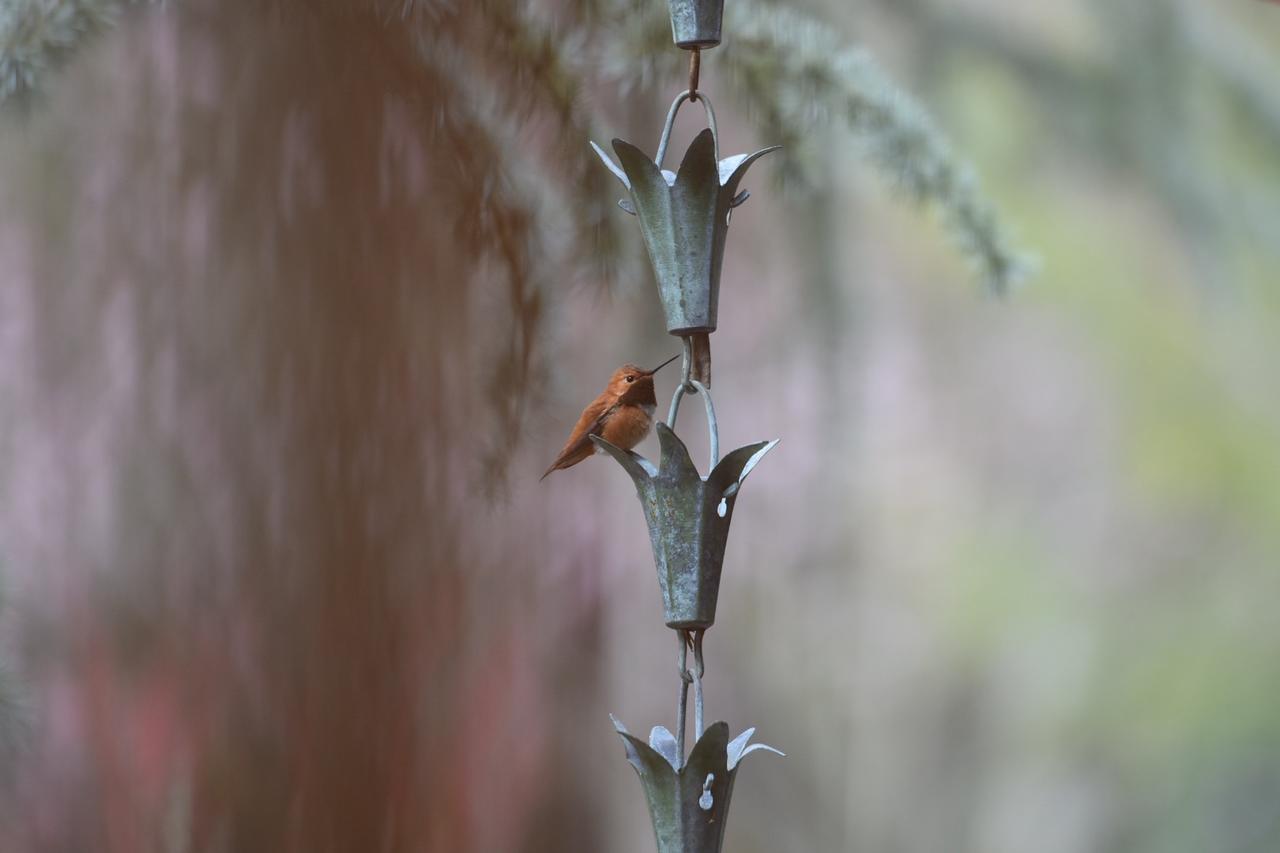 Otter's Pond Bed And Breakfast - thumb 8