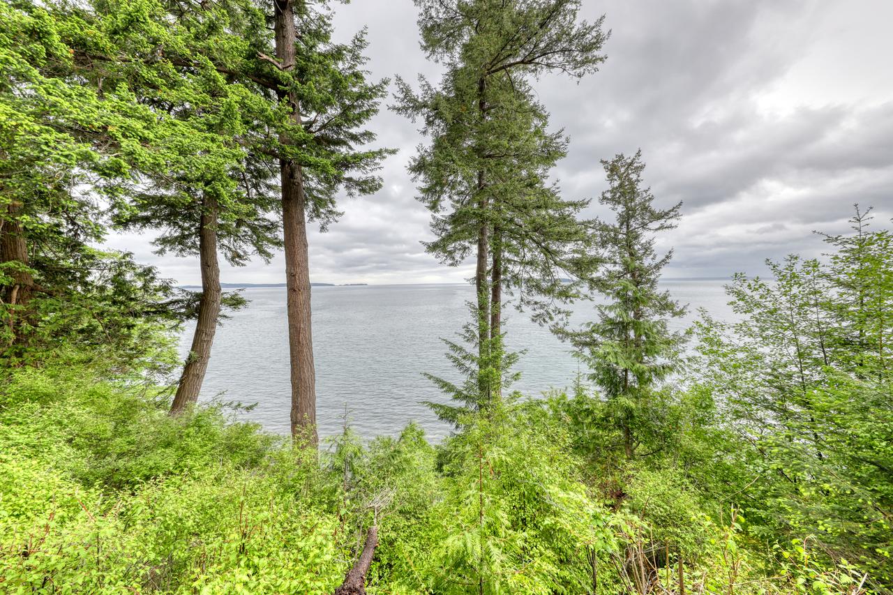 Pinecone Cabin - thumb 7