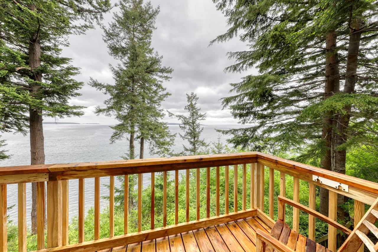 Pinecone Cabin - thumb 12