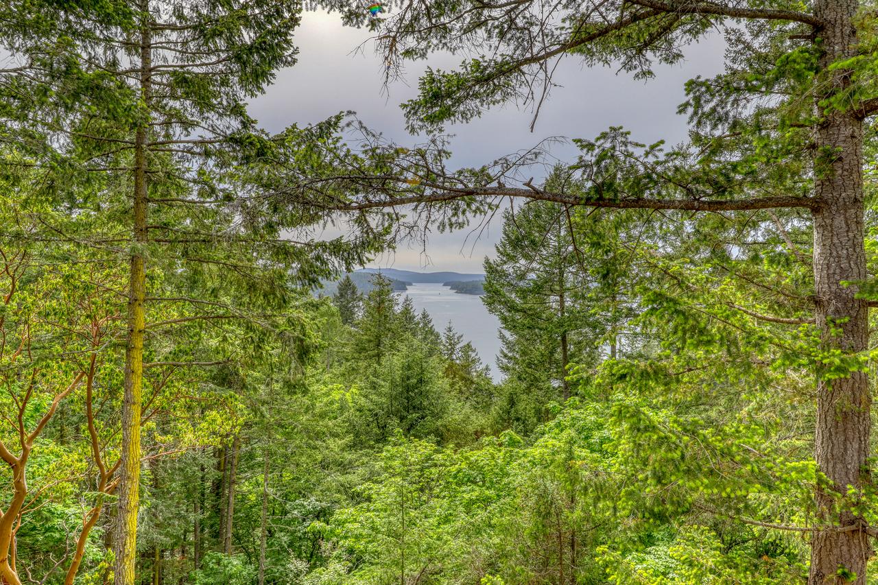 Owl Lane Home - thumb 1