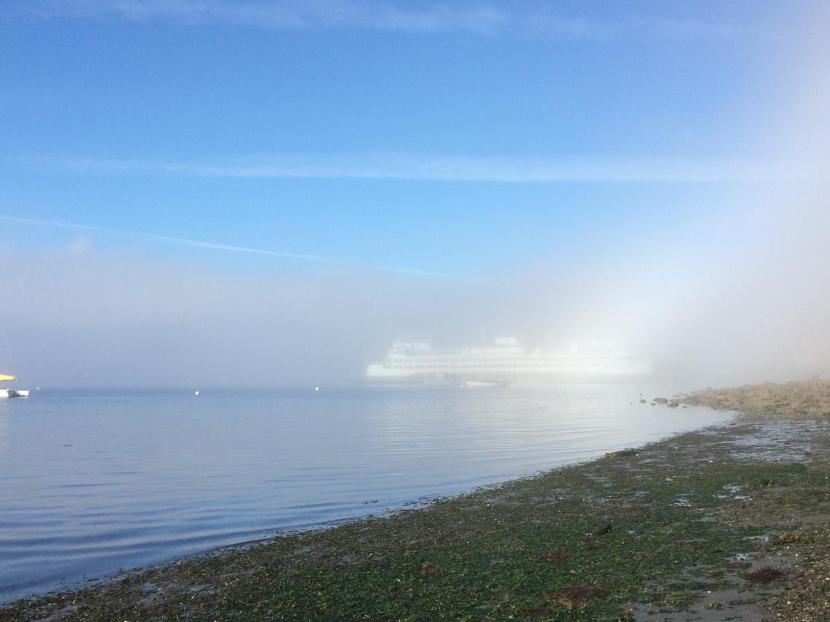 Orcas Hotel - thumb 42