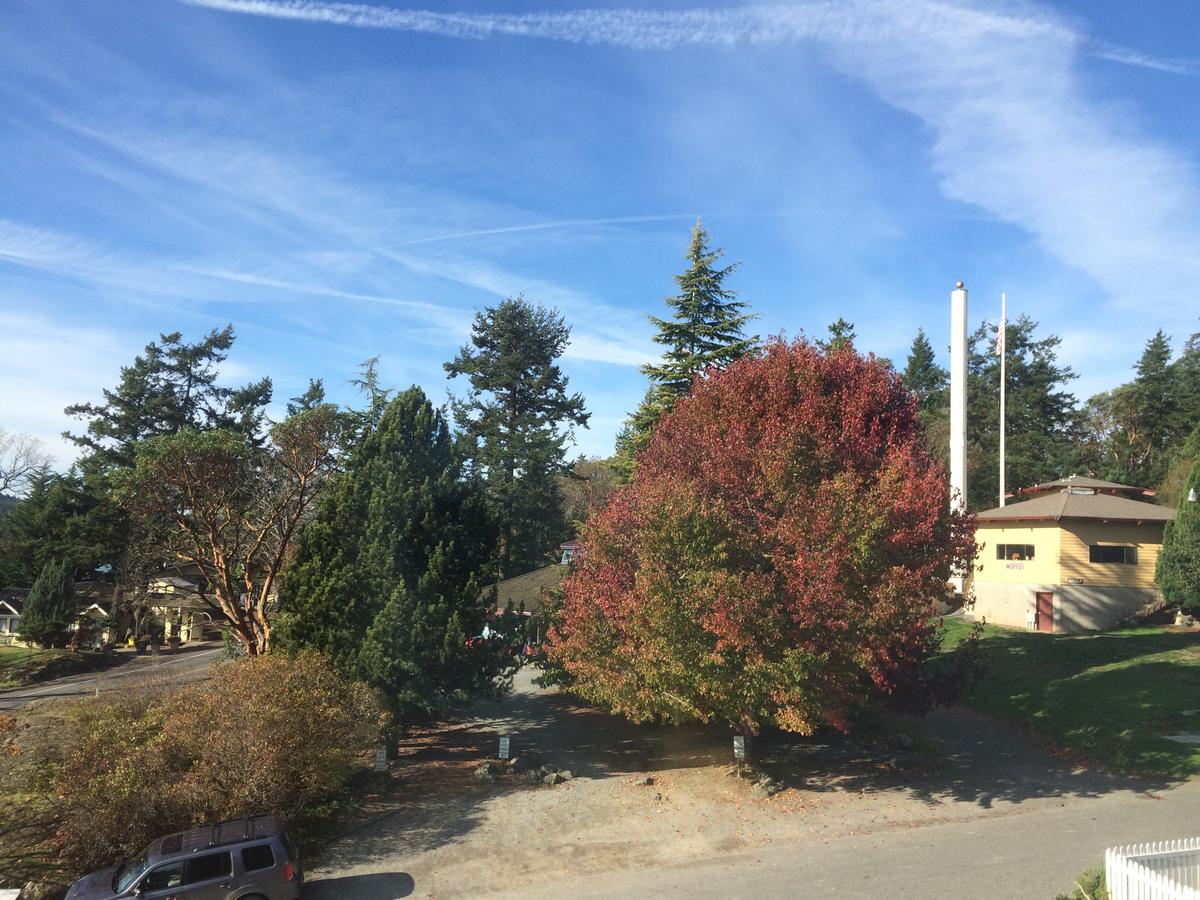 Orcas Hotel - thumb 13