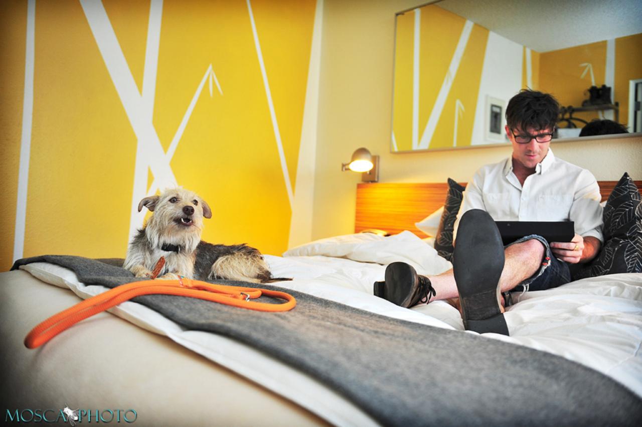 Jupiter Hotel - thumb 2