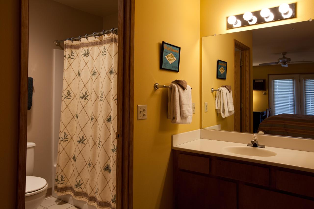 15 Lodge-River View-1BR/2BA - thumb 4