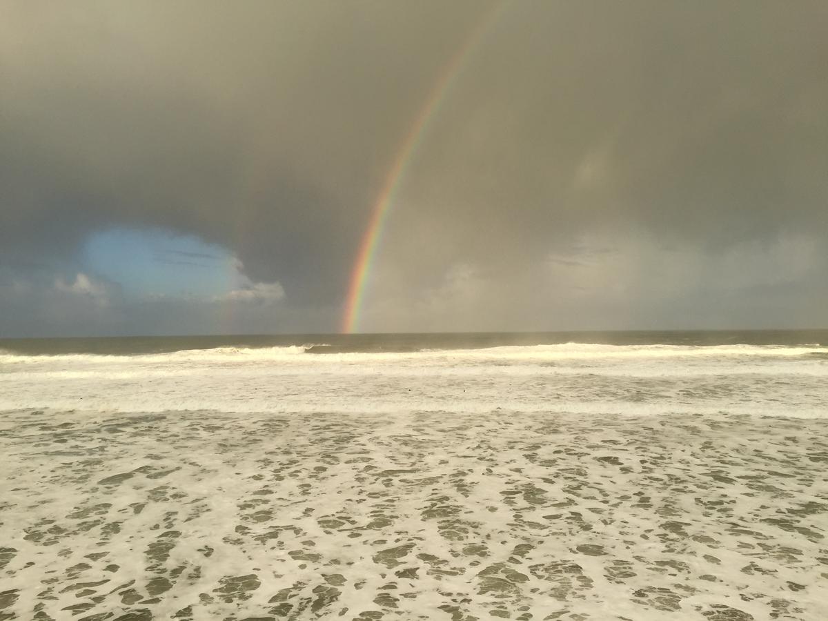 Sandcastle Beachfront Motel - thumb 15