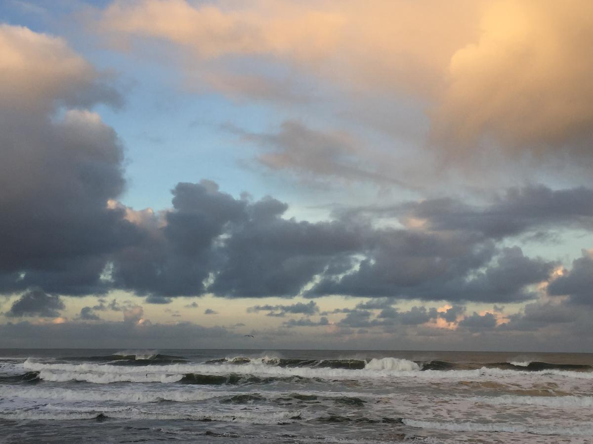 Sandcastle Beachfront Motel - thumb 12