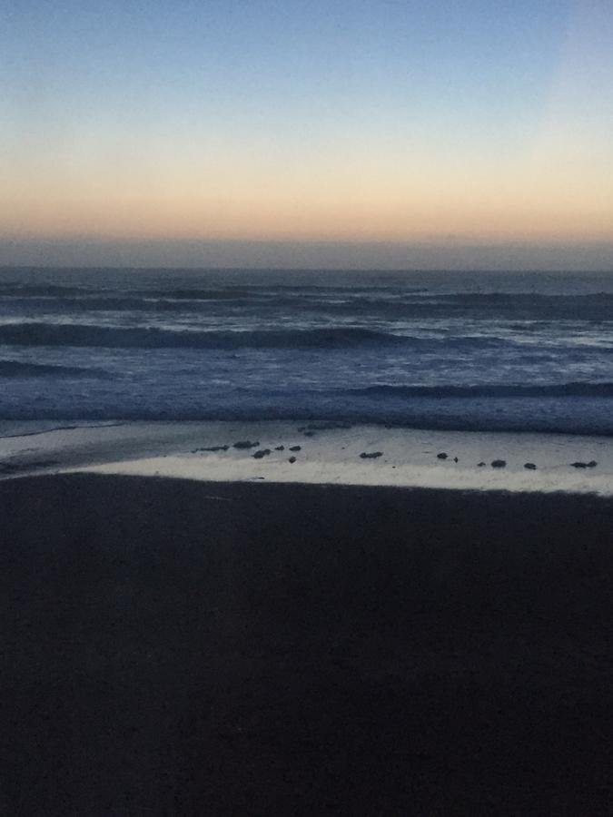 Sandcastle Beachfront Motel - thumb 20