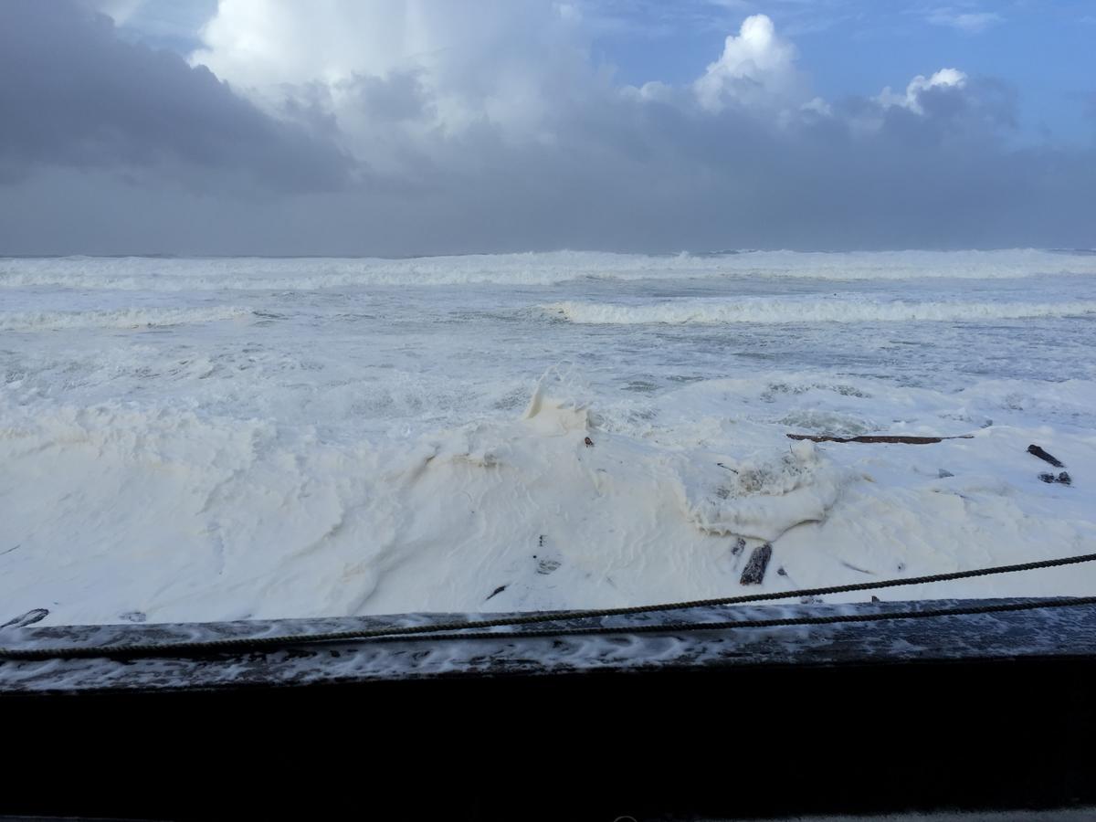 Sandcastle Beachfront Motel - thumb 33