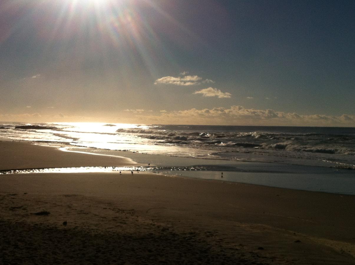 Sandcastle Beachfront Motel - thumb 10