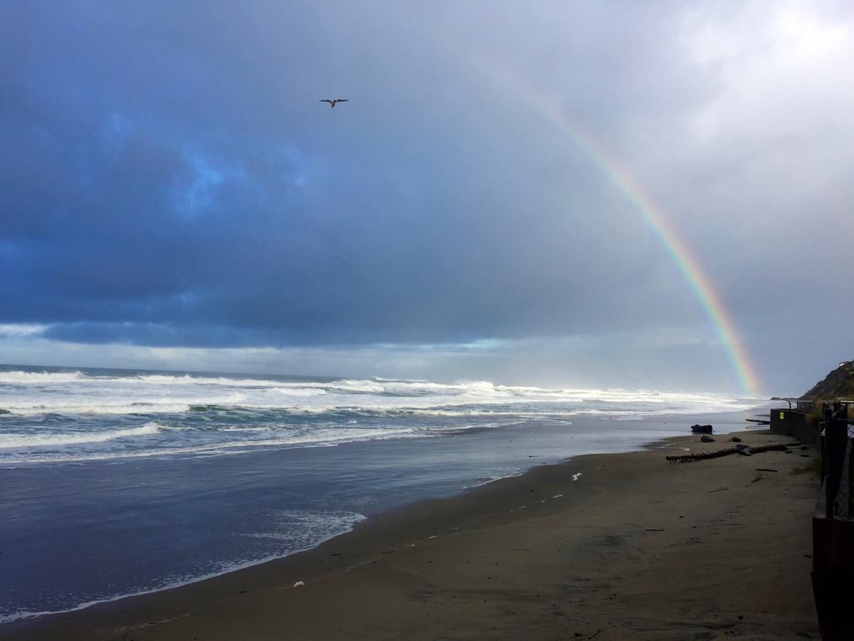 Sandcastle Beachfront Motel - thumb 16