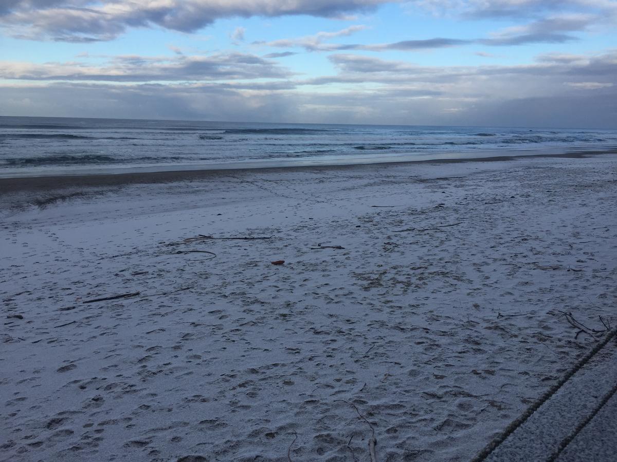 Sandcastle Beachfront Motel - thumb 35