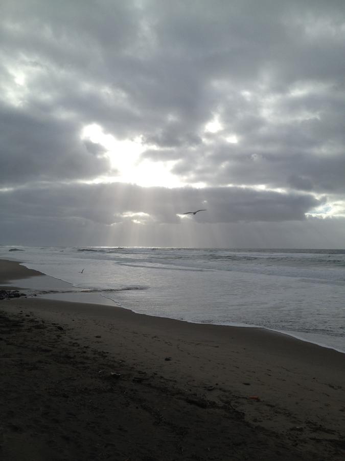 Sandcastle Beachfront Motel - thumb 5