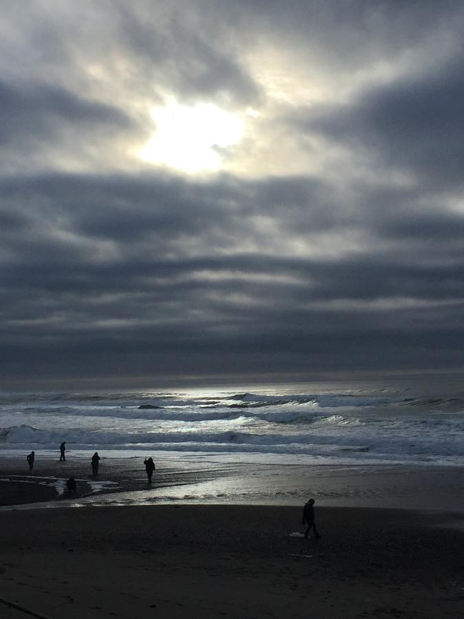 Sandcastle Beachfront Motel - thumb 28