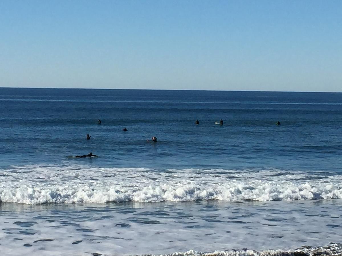 Sandcastle Beachfront Motel - thumb 17