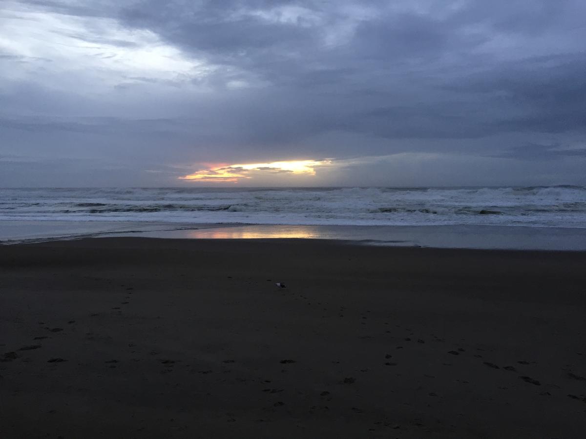 Sandcastle Beachfront Motel - thumb 36