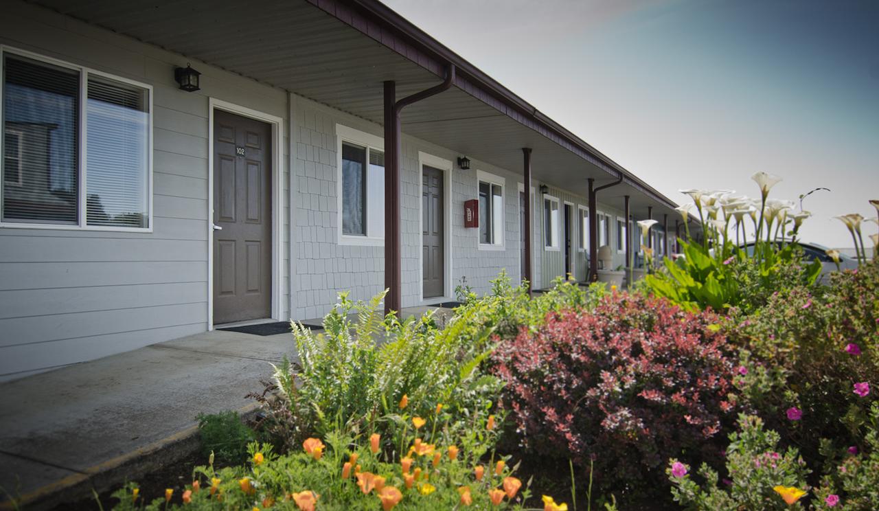 Pacific Reef Hotel & Light Show - thumb 25