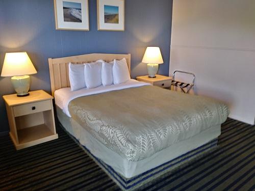 Pacific Reef Hotel & Light Show - thumb 8