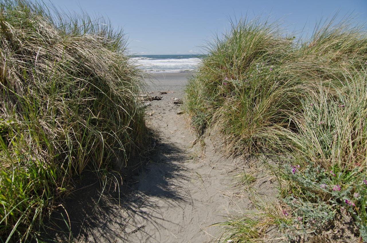 Pacific Reef Hotel & Light Show - thumb 19