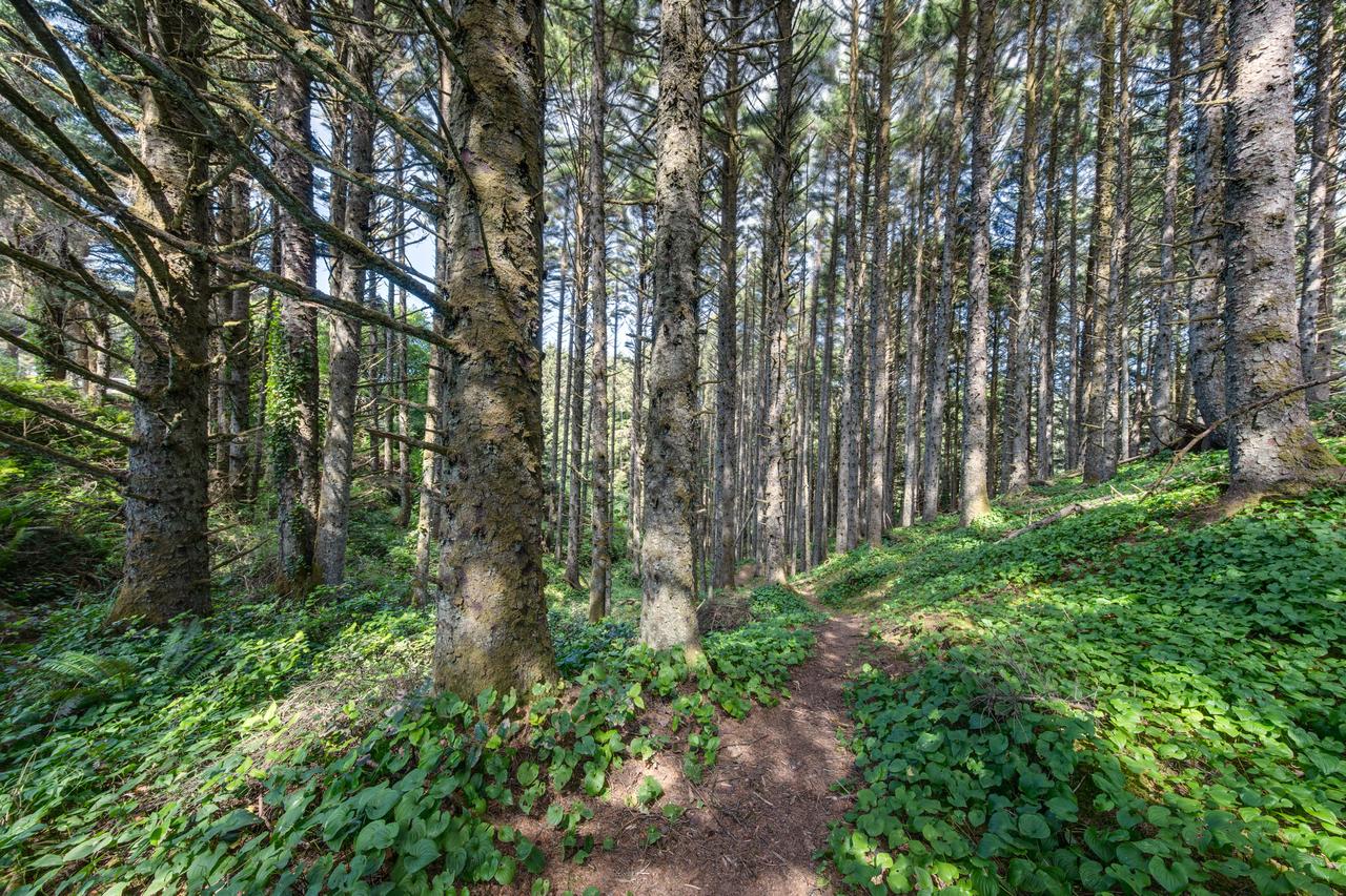 ALSO Beach House - thumb 9