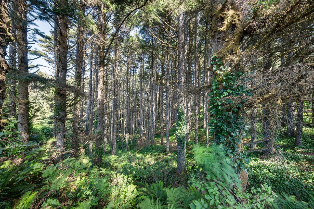 ALSO Beach House - thumb 10