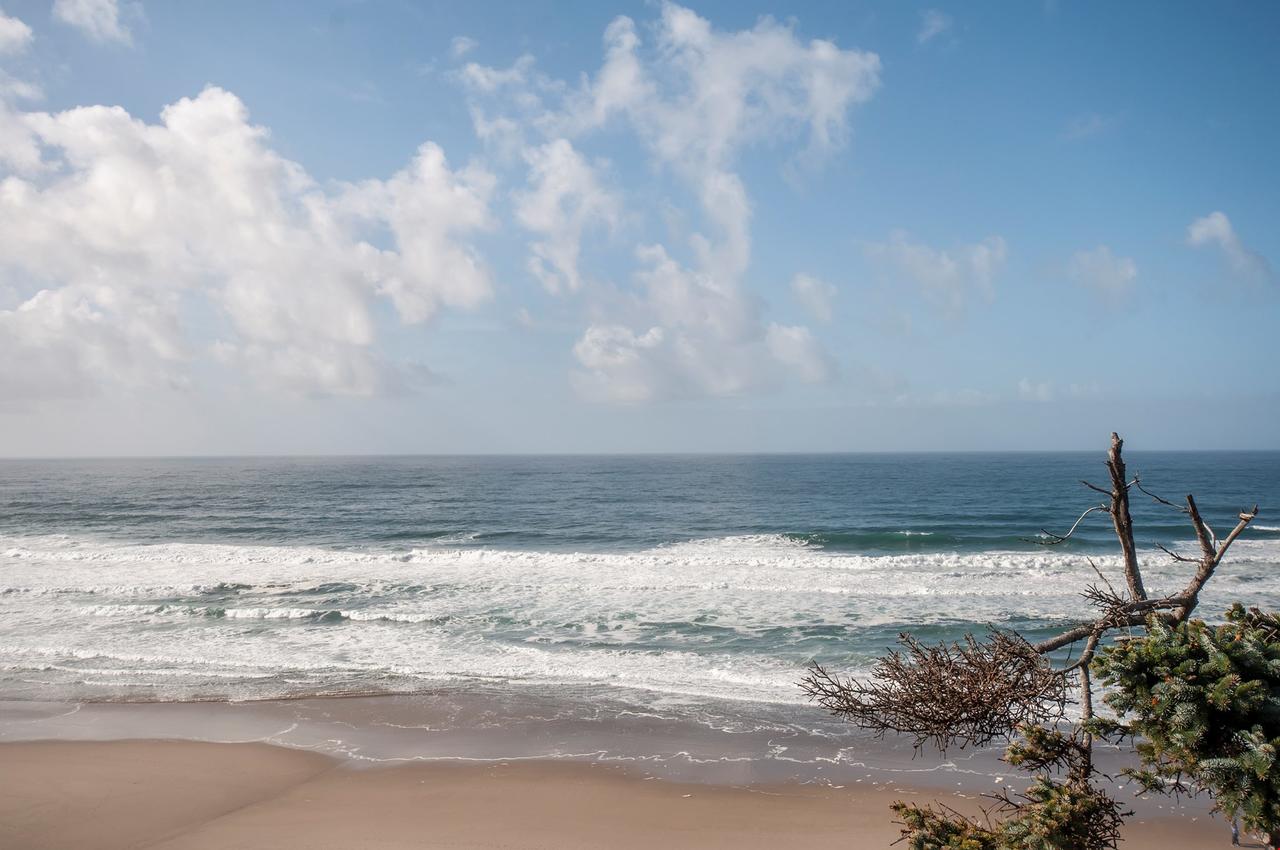 Above The Beach - thumb 7