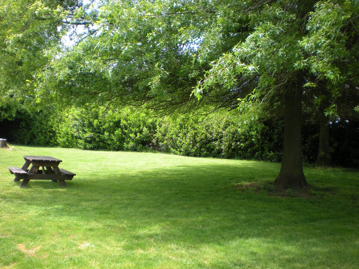 Super 8 By Wyndham Albany - thumb 14