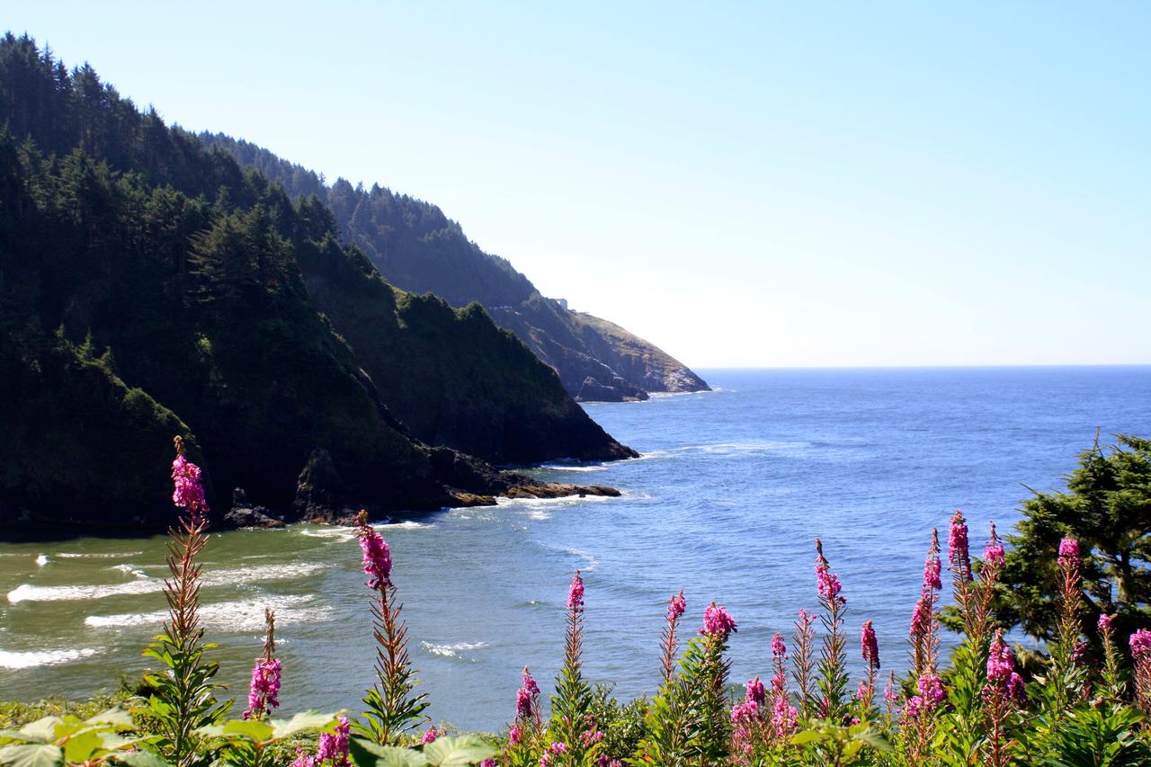 Lighthouse Inn - thumb 14