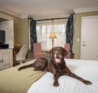 Village Green Resort and Gardens - Tourism Bookings