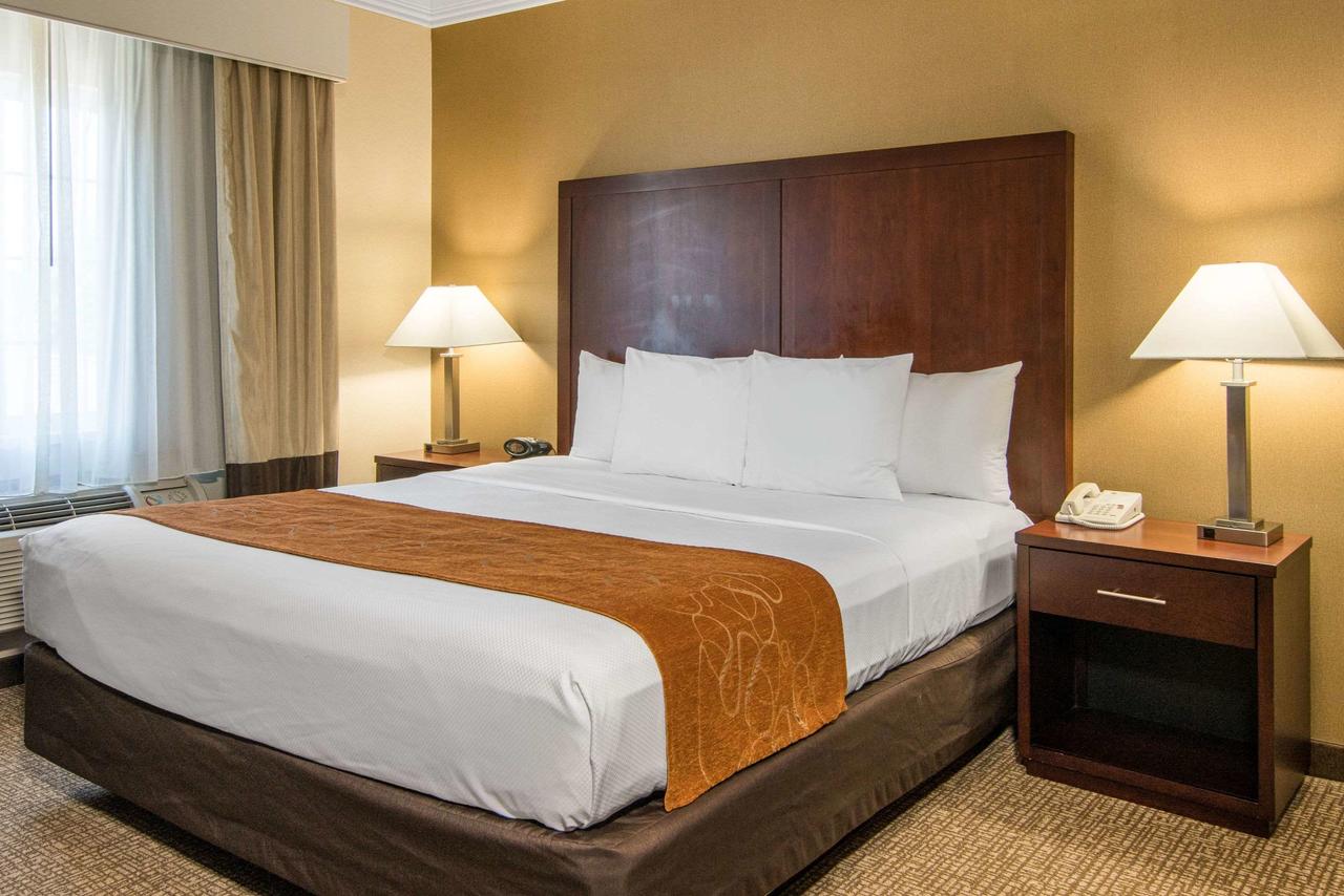 Comfort Suites Linn County Fairground And Expo - thumb 15