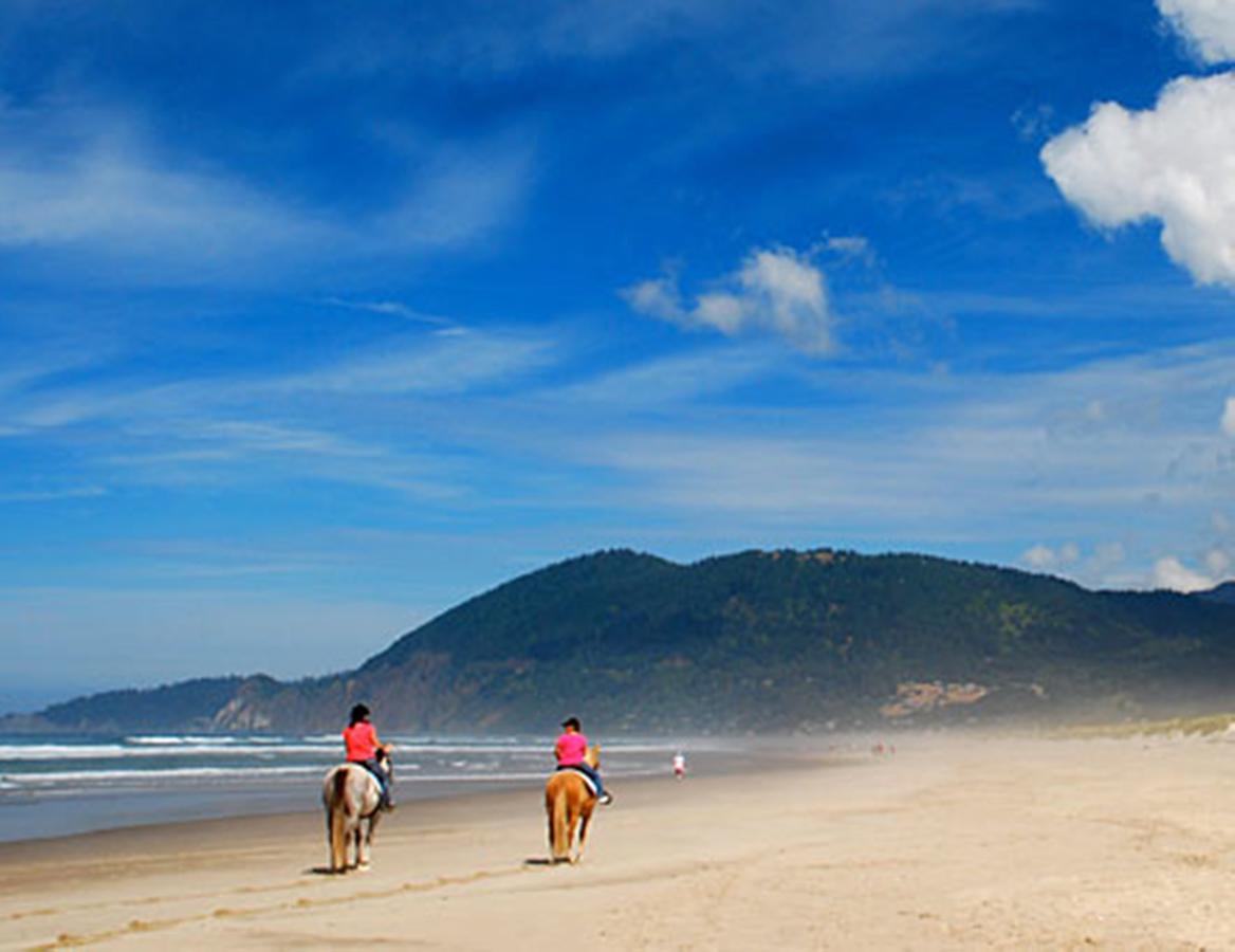 Holiday Inn Express Hotel & Suites Albany - thumb 11