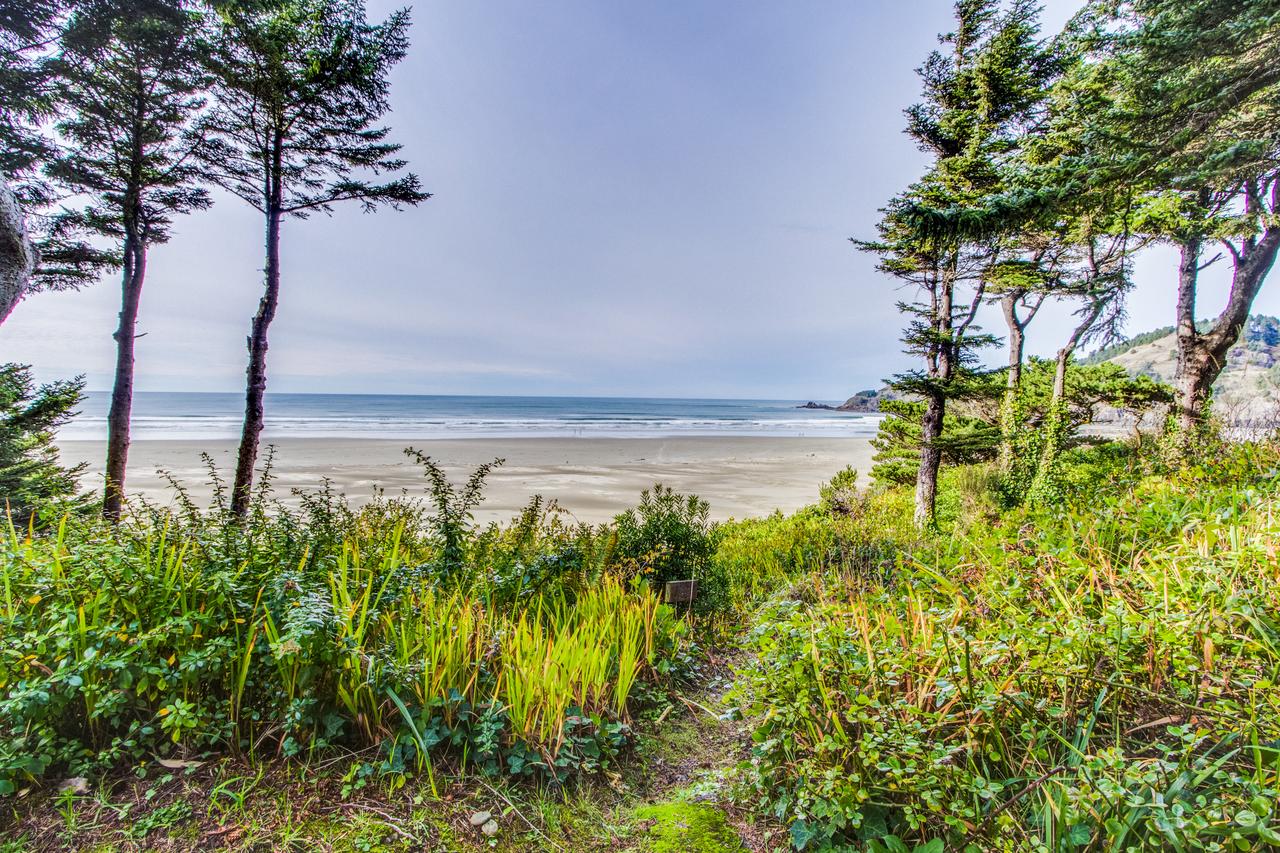 Agate Beach Oceanview Suite B - thumb 22