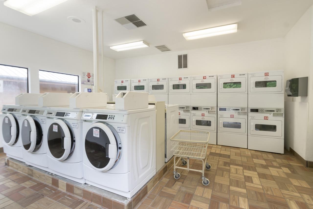 Mount Hood Village Yurt 1 - thumb 4