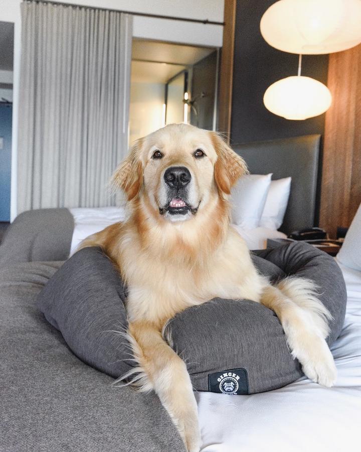 Headlands Coastal Lodge & Spa - thumb 43