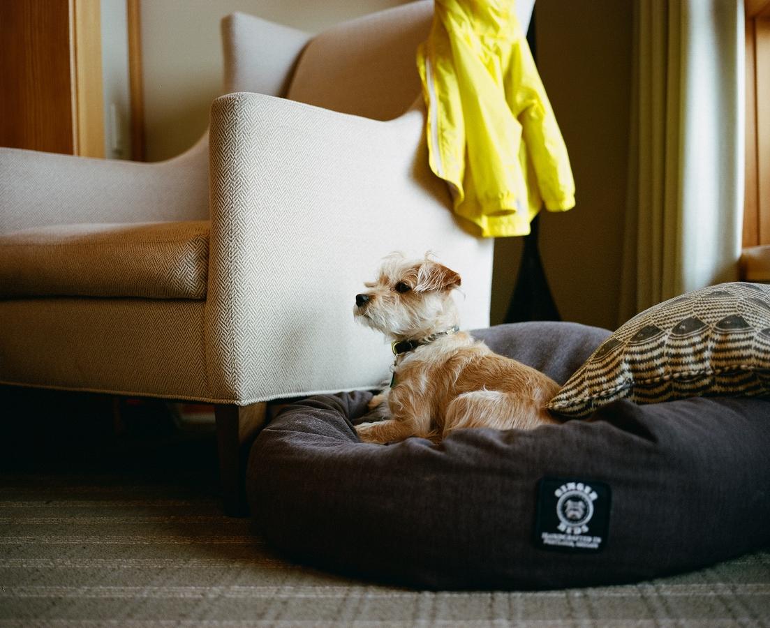 Headlands Coastal Lodge & Spa - thumb 39