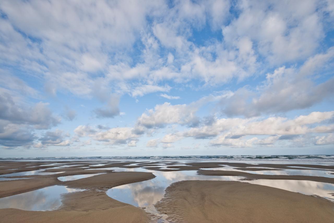 645 N Pacific St Townhouse Unit B - thumb 5