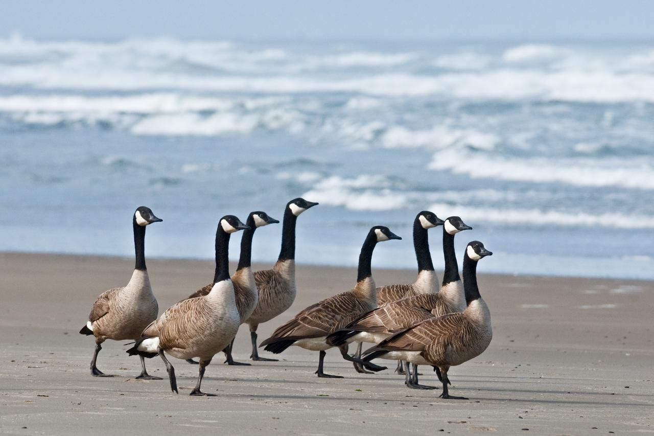 645 N Pacific St Townhouse Unit B - thumb 7